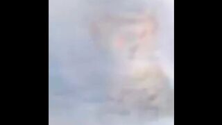 KITTEN, KITTY, 7