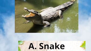 Fun quiz