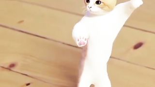cute cat is dancing 2