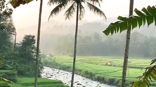 Kesejukan desa