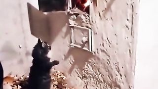 مضحك ???????????????? 2