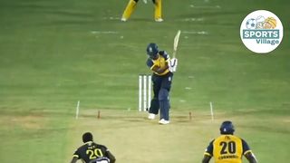 Cricket Lover