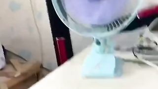 pet cat is very cute behavior