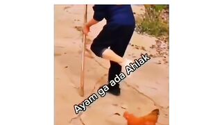 funny video 106