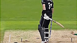 Cricket lover 4