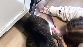 Funny Cat 17