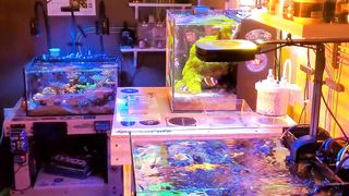 AQuariam