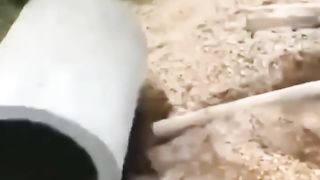 Video Lucu Bikin Ngakak Part 1. #Short #Funny #Lucu