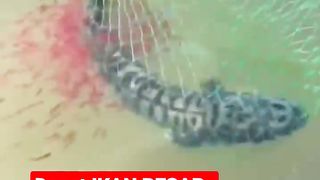 Dapat ikan besar, tapi terpaksa kita lepas lagi.