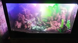 Akarium
