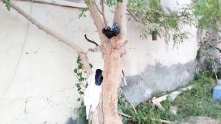 Funniest cat 5