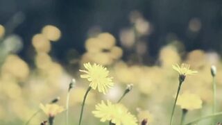 Relaxing-music-sleep