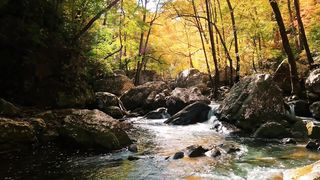 beautiful and relaxing river