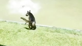 Funny Memes 5