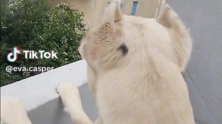 I love these neighbor's