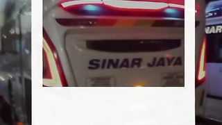 Bus pariwisata
