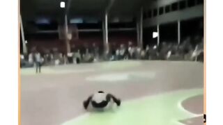 spider-mang