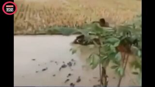 Video hiburan lucu +62 indonesia ngakak lucu