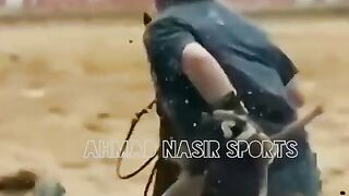 #best#of#world#bull#fighting#with#two#horses#man