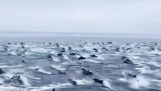 Viral video latest  don't miss