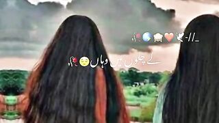 Friendship video 2