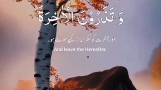 Telaawat Quran 3