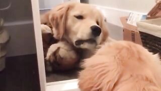 Don't Touch My Toy
