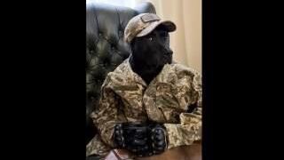 Chief of Biolaboratories in Ukraine. (Just Don't Show it to the Russians)
