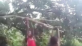 The Catapult