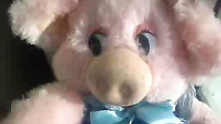I'M A FUNNY PIG,I WAS LYING IN THE SUN...