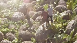 Не камни а яица