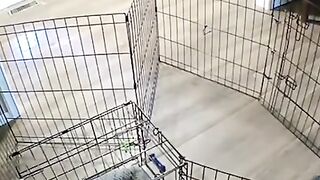 Mission Impossible 7s Trailer Leaked.