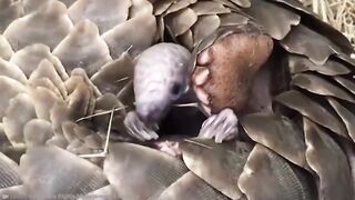 20 милейших детенышей животных, которые заставят вас сойти с ума