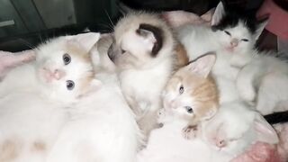 один месяц и пять дней