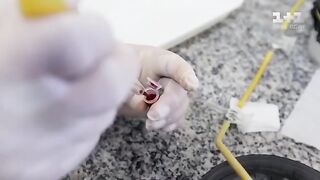 Ось як розводять американських «бойових комарів», про які говорить РФ