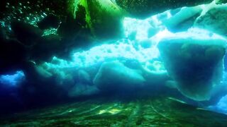 Морской лёд кажется ровным и безжизненным, но под ним скрывается другой мир.