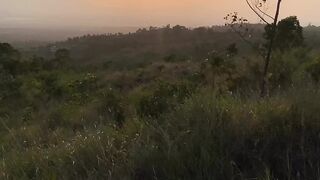 Sunset and yelow