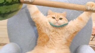 Funny ???????? video 4