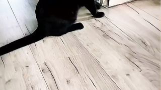 Funny moments ???????? 3