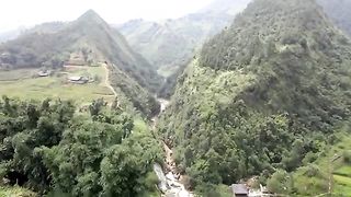 Rice padden in indonesia