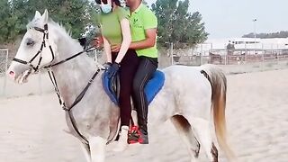 beautiful horse and girl