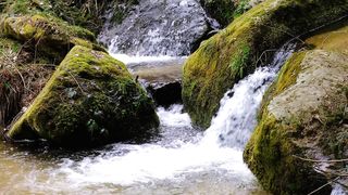 fresh clear water