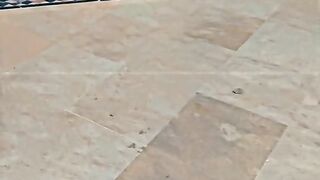 Funny cat videos ????????