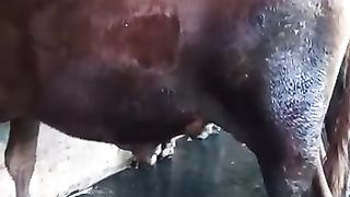 Begitu menyenangkan atas kebesaranMu