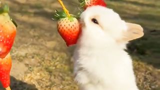 Viral video don't miss 7