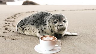 Mammal animals