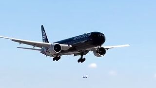 Air New Zealand very Smoothly landing #viral #live #febspot