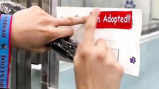 Funny videos 2023 4