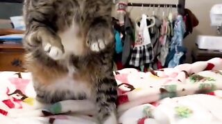 Tik tok videos 2023