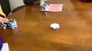 Random cat moment part 8